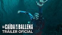 imagen de La caída de la ballena