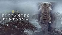 imagen de Primer Tráiler Oficial Subtitulado de 'Elefantes Fantasma'