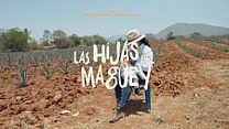 imagen de 'Las hijas del maguey' - Tráiler Oficial