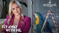 imagen de 'Fly Away With Me' - Tráiler Oficial