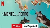 imagen de 'En la mente de un perro' - Tráiler Oficial Doblado