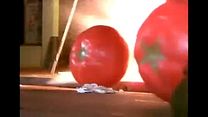 imagen de Tráiler El ataque de los tomates asesinos