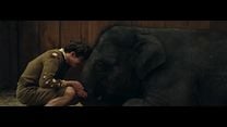 'Zoo'- Tráiler oficial