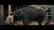 imagen de 'Zoo Misión Elefante' - Tráiler oficial doblado al español latino