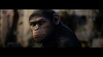 imagen de 'El planeta de los simios (R)evolución' - Tráiler oficial subtitulado