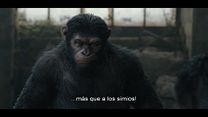 imagen de 'El planeta de los simios: Confrontación' - Tráiler oficial subtitulado