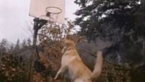 Air Bud Tráiler VO