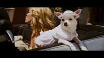 imagen de 'Un Chihuahua de Beverly Hills'- Tráiler oficial doblado al español