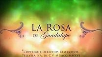 ''La rosa de Guadalupe' - Tráiler Oficial - Televisa