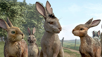imagen del vídeo 'La colina de Watership' - Tráiler oficial