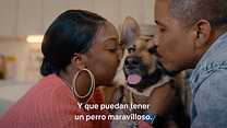 imagen de 'Adiestramiento canino' - Tráiler oficial subtitulado