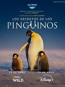 Los Secretos de Los Pingüinos