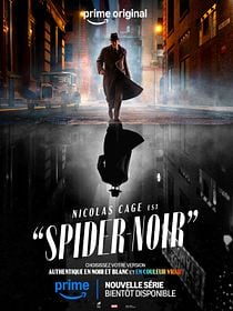 Cartel de Spider-Noir