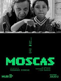 Moscas