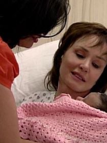 La rosa de Guadalupe