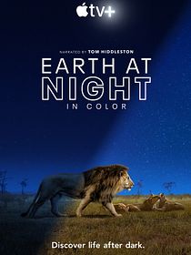 Earth At Night In Color