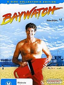 Guardianes de la bahía