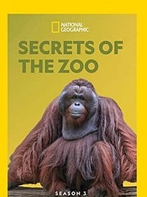 Secretos veterinarios