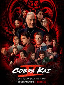 Cartel de Cobra Kai