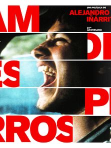 imagen de 'Amores perros' - Tráiler oficial 20 aniversario