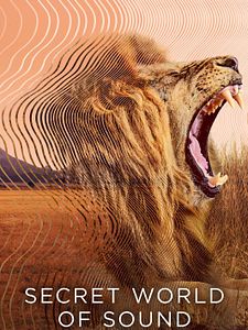 Cartel de Secret World of Sound with David Attenborough Temporada 1