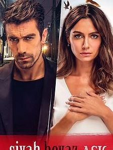 Cartel de Amor en blanco y negro Temporada 1