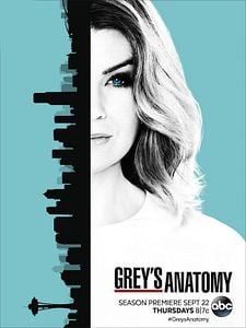 Cartel de Grey's Anatomy Temporada 13