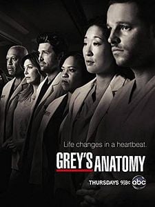 Cartel de Grey's Anatomy Temporada 10
