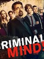 Cartel de Mentes criminales Temporada 15