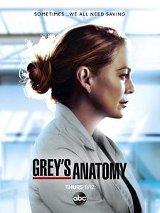 Cartel de Grey's Anatomy Temporada 17