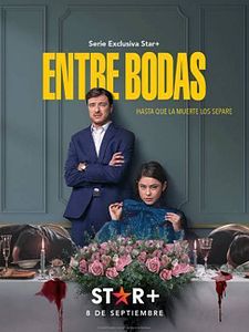 Cartel de Entre Bodas Temporada 1