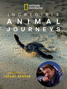 Cartel de Animales viajeros Temporada 1