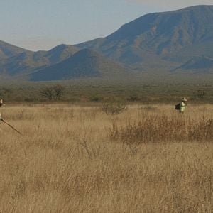 Foto ¿A Dónde Vamos, Coyote?