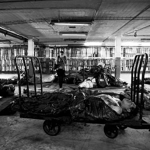 Foto Arillo de hombre muerto