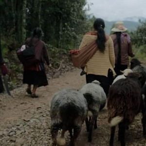 Foto Formas de atravesar un territorio