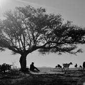 Foto Los amantes se despiden con la mirada