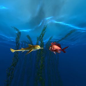 Foto El Arrecife Encantado: Kaluoka'hina