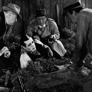 Foto The Return of Doctor X