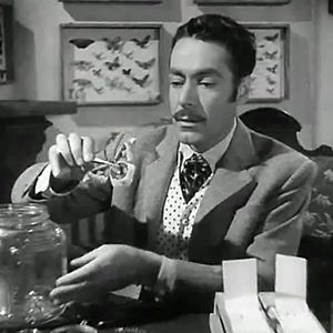 Foto Abismos de pasion