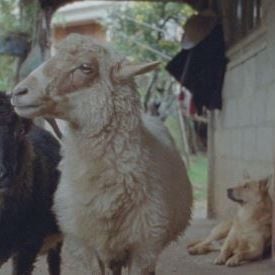 Foto Formas de atravesar un territorio