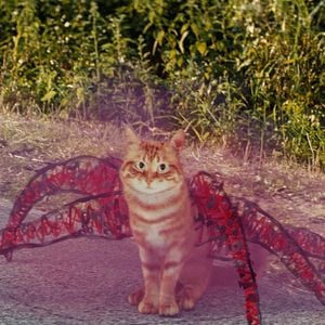 Foto Dibujos Imaginarios