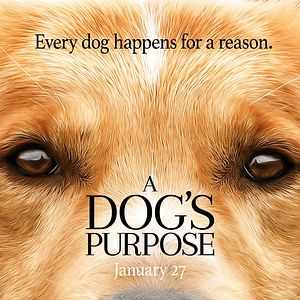 Foto La razón de estar contigo