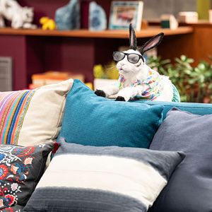 Foto Los Thunderman: Infiltrados