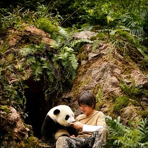 Foto Moon, Mi Amigo El Panda