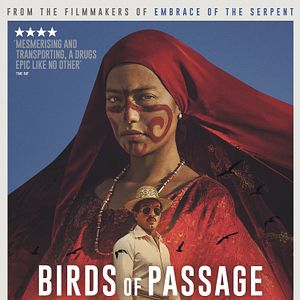 Foto Pájaros de Verano