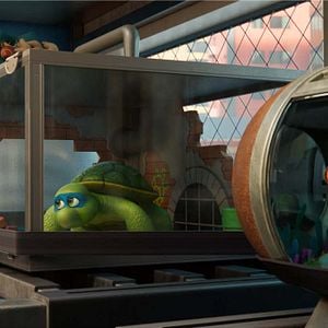 Foto Mascotas al rescate