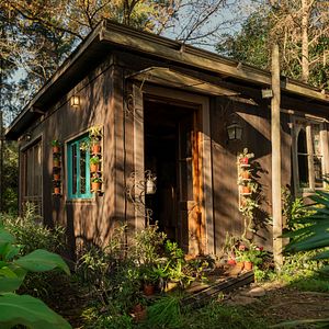 Foto El último gigante