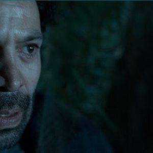 Foto Jugaremos en el bosque