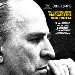 Foto Buscando a Ingmar Bergman