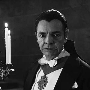 Foto Y llegaron de noche